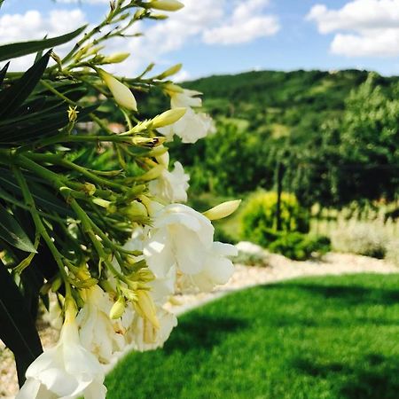 Vass-Villa Vendeghaz Szekszárd エクステリア 写真