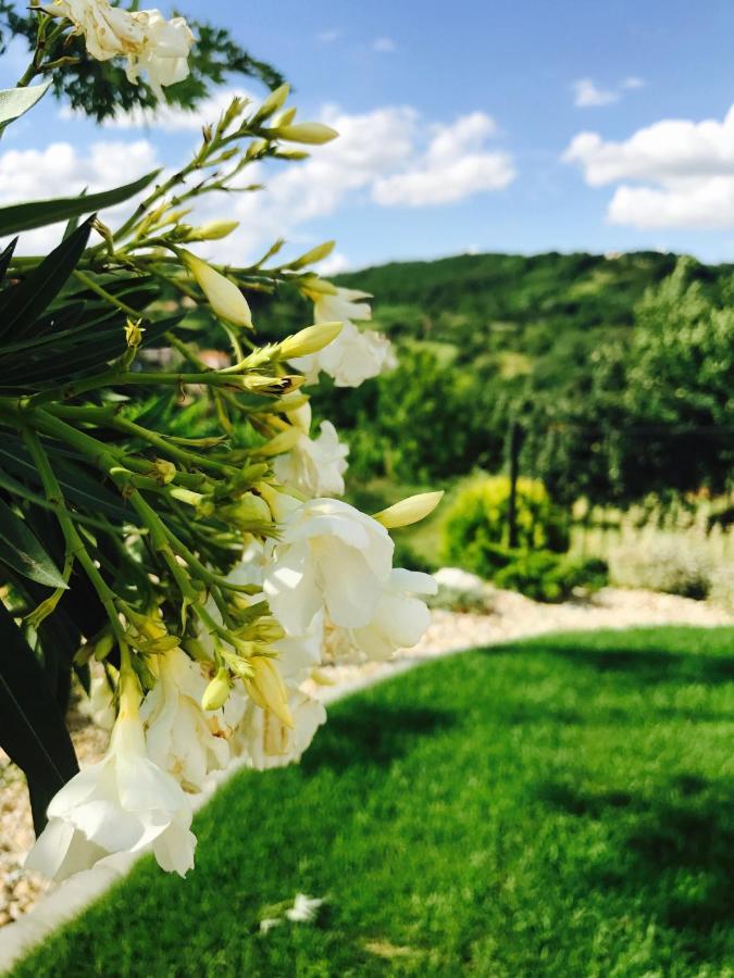 Vass-Villa Vendeghaz Szekszárd エクステリア 写真