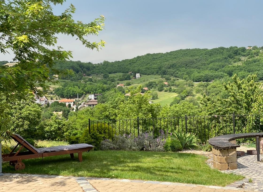 Vass-Villa Vendeghaz Szekszárd エクステリア 写真