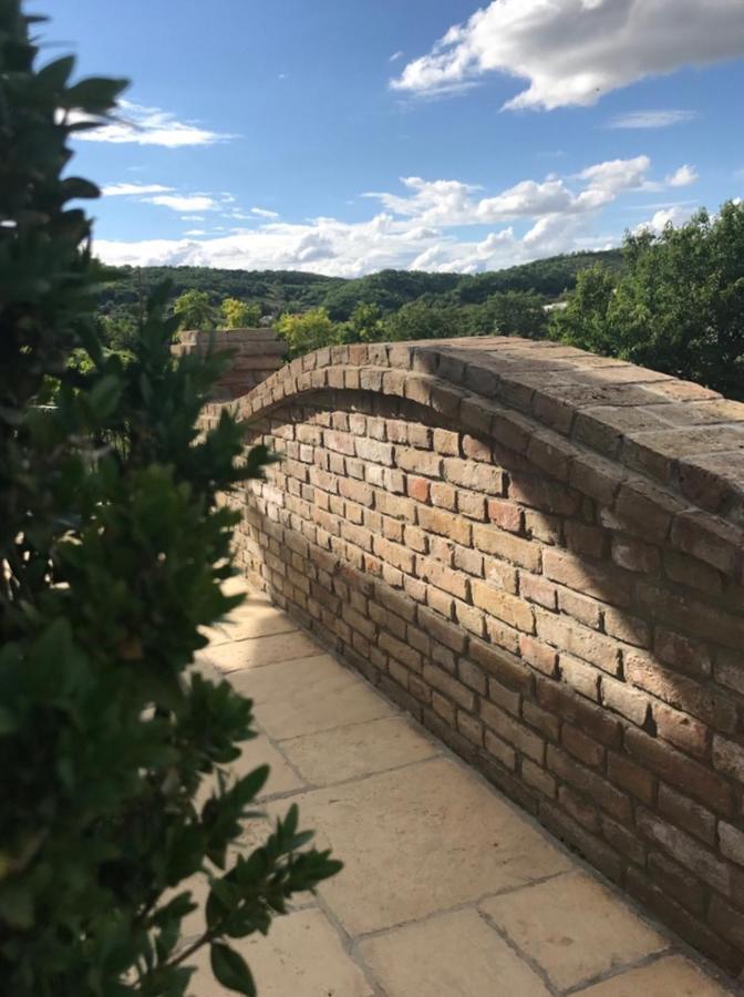 Vass-Villa Vendeghaz Szekszárd エクステリア 写真