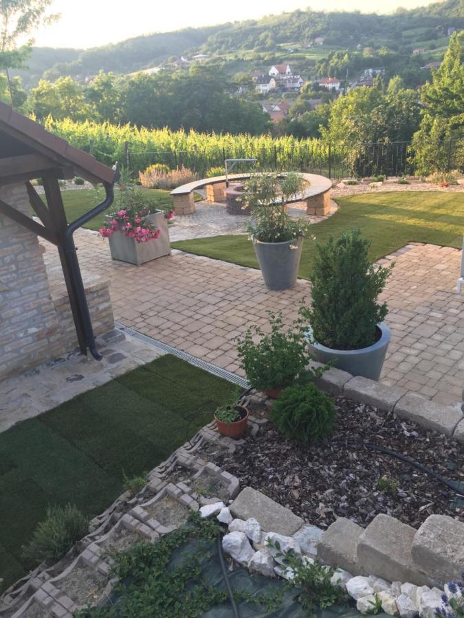 Vass-Villa Vendeghaz Szekszárd エクステリア 写真