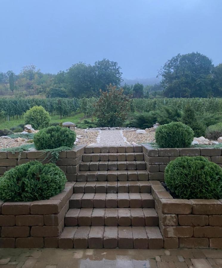 Vass-Villa Vendeghaz Szekszárd エクステリア 写真