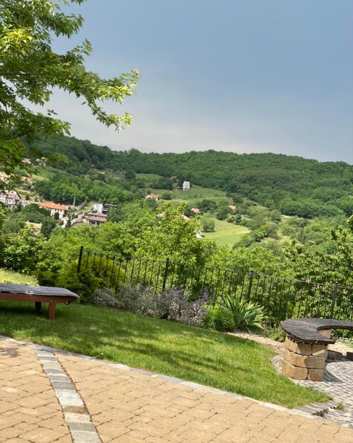 Vass-Villa Vendeghaz Szekszárd エクステリア 写真