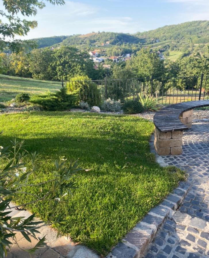 Vass-Villa Vendeghaz Szekszárd エクステリア 写真
