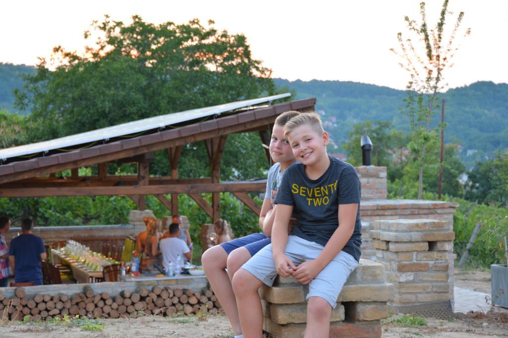 Vass-Villa Vendeghaz Szekszárd エクステリア 写真