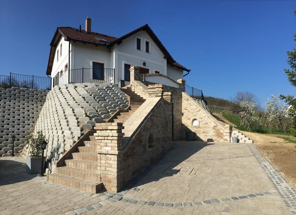 Vass-Villa Vendeghaz Szekszárd エクステリア 写真