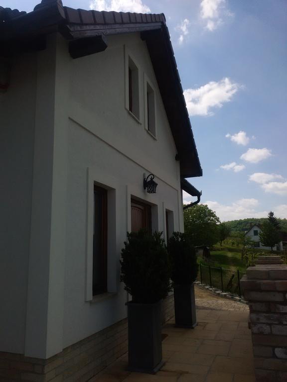 Vass-Villa Vendeghaz Szekszárd エクステリア 写真