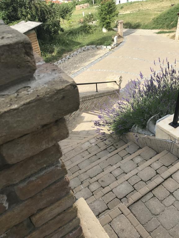 Vass-Villa Vendeghaz Szekszárd エクステリア 写真