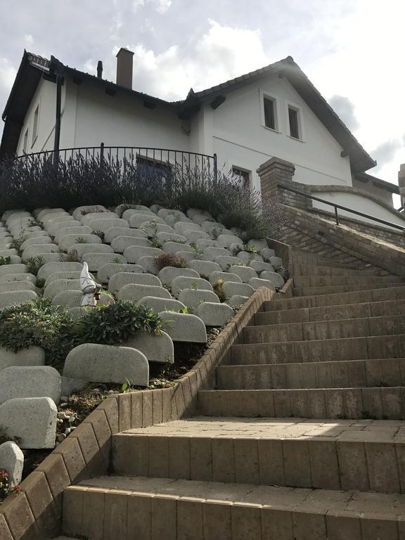 Vass-Villa Vendeghaz Szekszárd エクステリア 写真